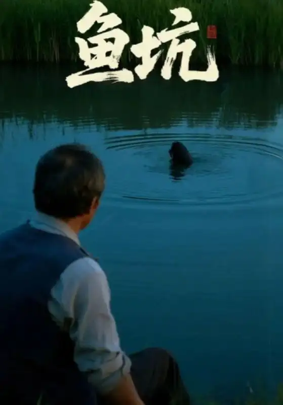 短剧《鱼坑》高清完整版全集免费观看