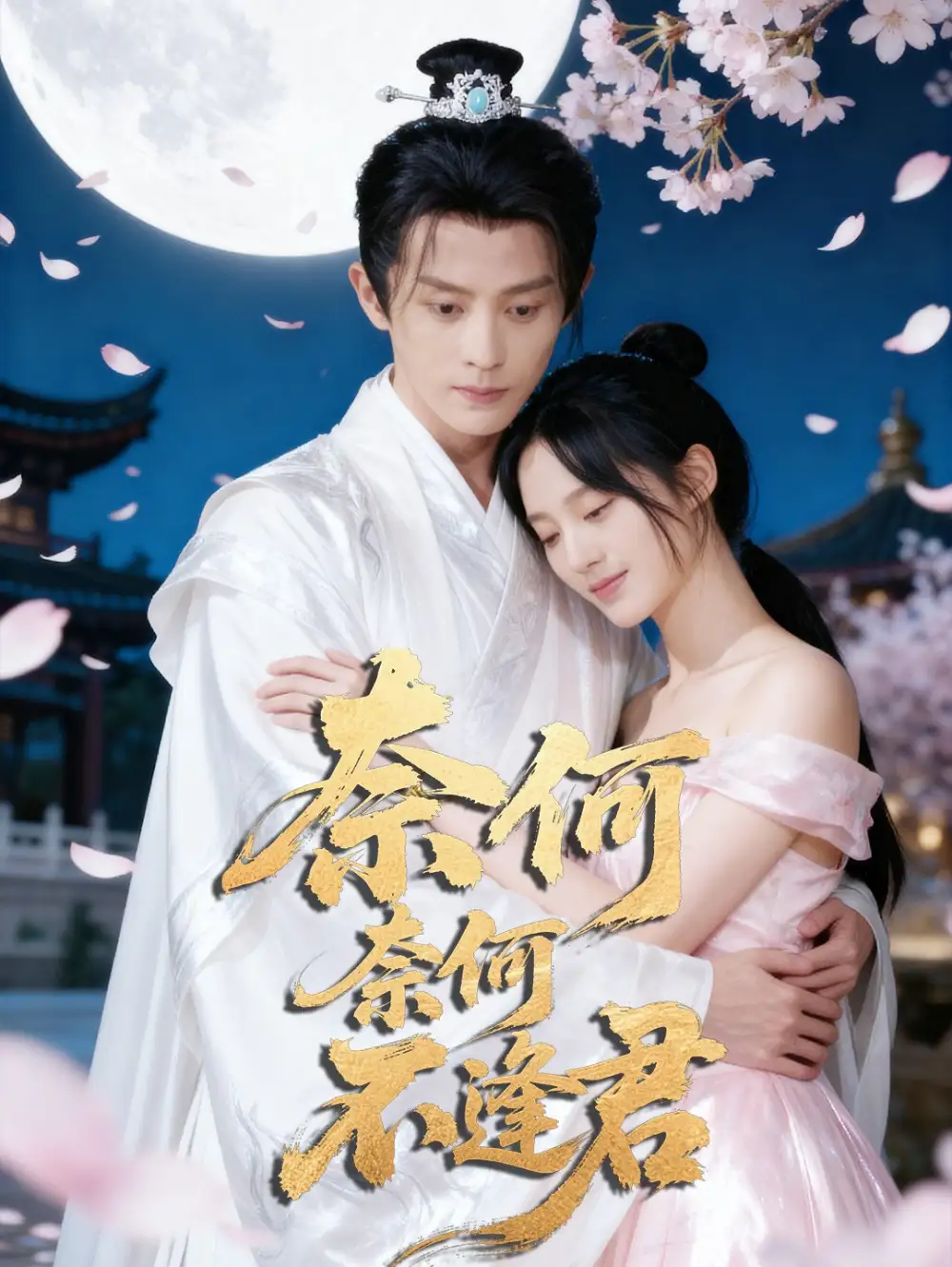 短剧《奈何奈何不逢君》高清完整版全集免费观看