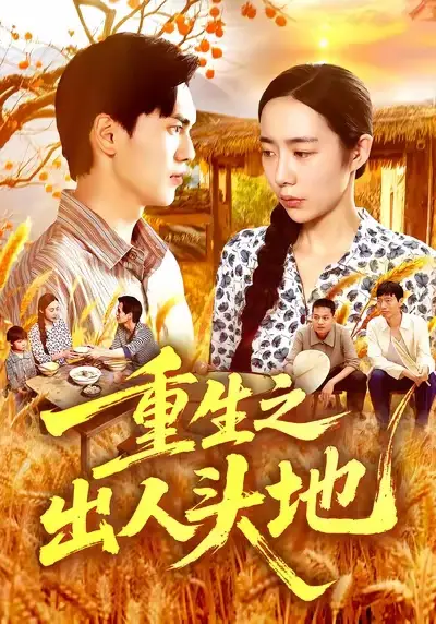重生之出人头地（88集）杨林涛&林准&王启航海报