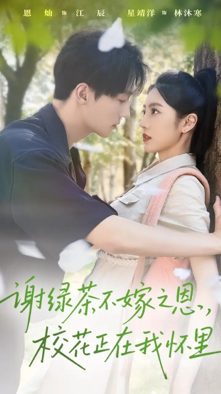 短剧《谢绿茶不嫁之恩校花正在我怀里》高清完整版全集免费观看