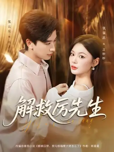 解救厉先生（84集）张云庆＆张瑞恩海报