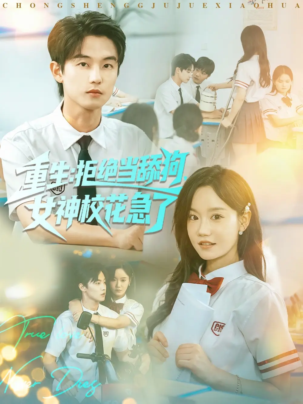 短剧《重生拒绝当舔狗女神校花急了》高清完整版全集免费观看