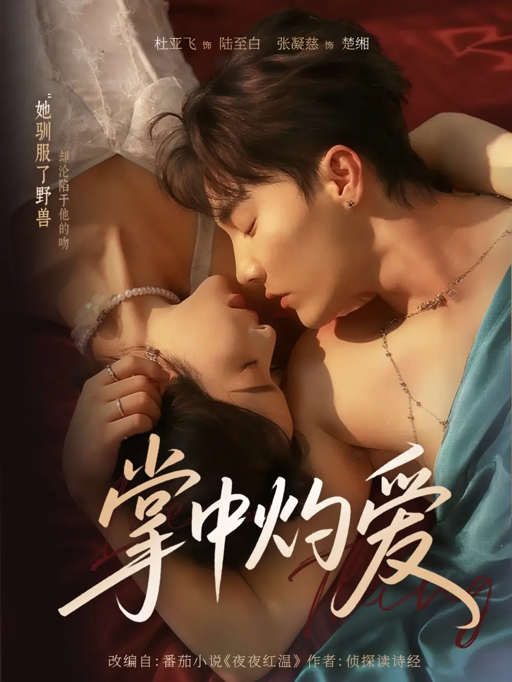 掌中灼爱（62集）杜亚飞＆张凝慈海报