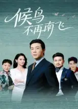 短剧《候鸟不再南飞》高清完整版全集免费观看