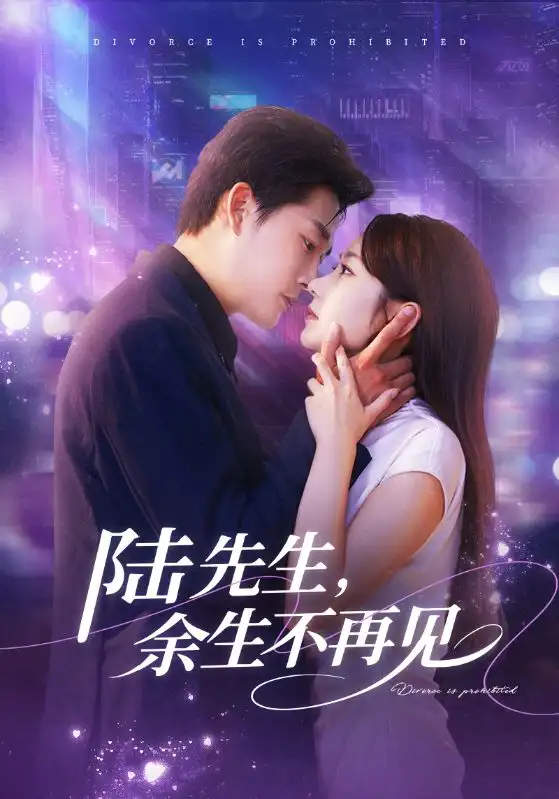 短剧《陆先生，余生不再见》高清完整版全集免费观看