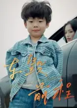 短剧《车毁前程》高清完整版全集免费观看