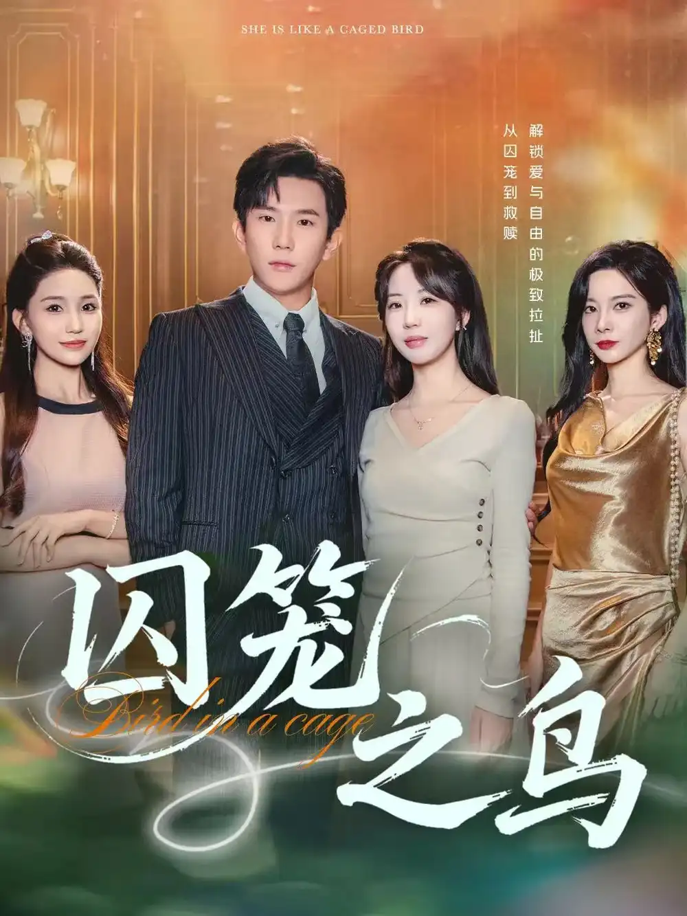 短剧《囚笼之鸟》高清完整版全集免费观看