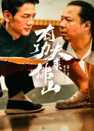 短剧《有功夫来佛山》高清完整版全集免费观看