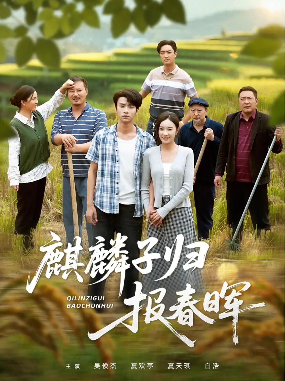 短剧《麒麟子归报春晖》高清完整版全集免费观看