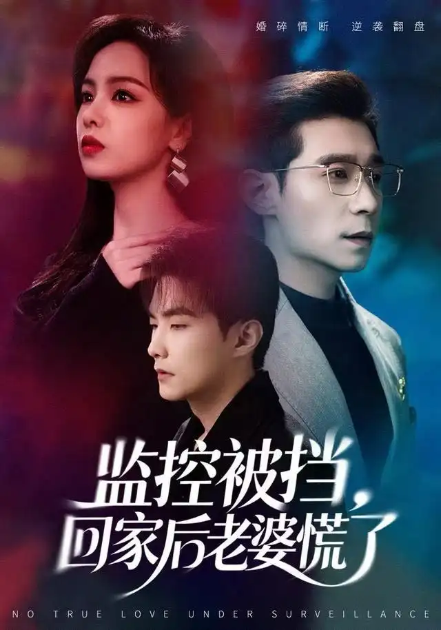 监控被挡，回家后老婆慌了（60集）王昱赫&熊玉婷海报